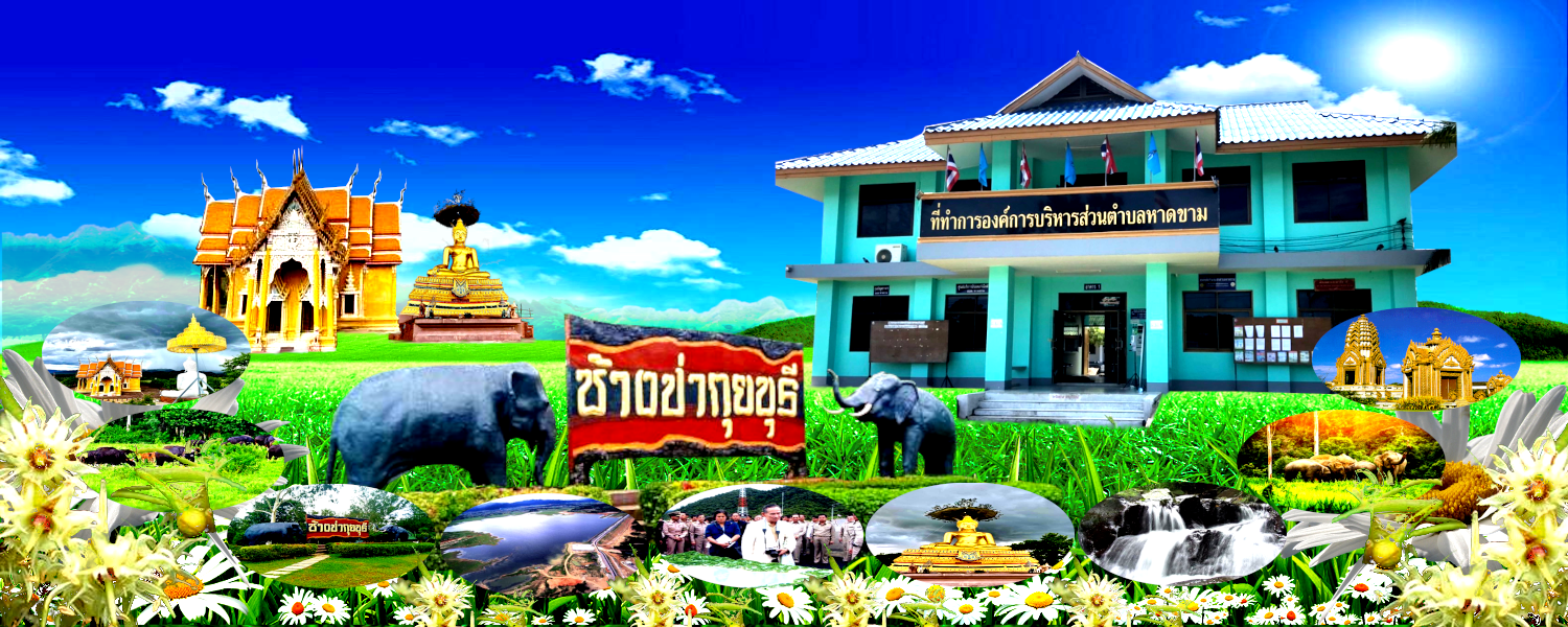 พื้นหลัง